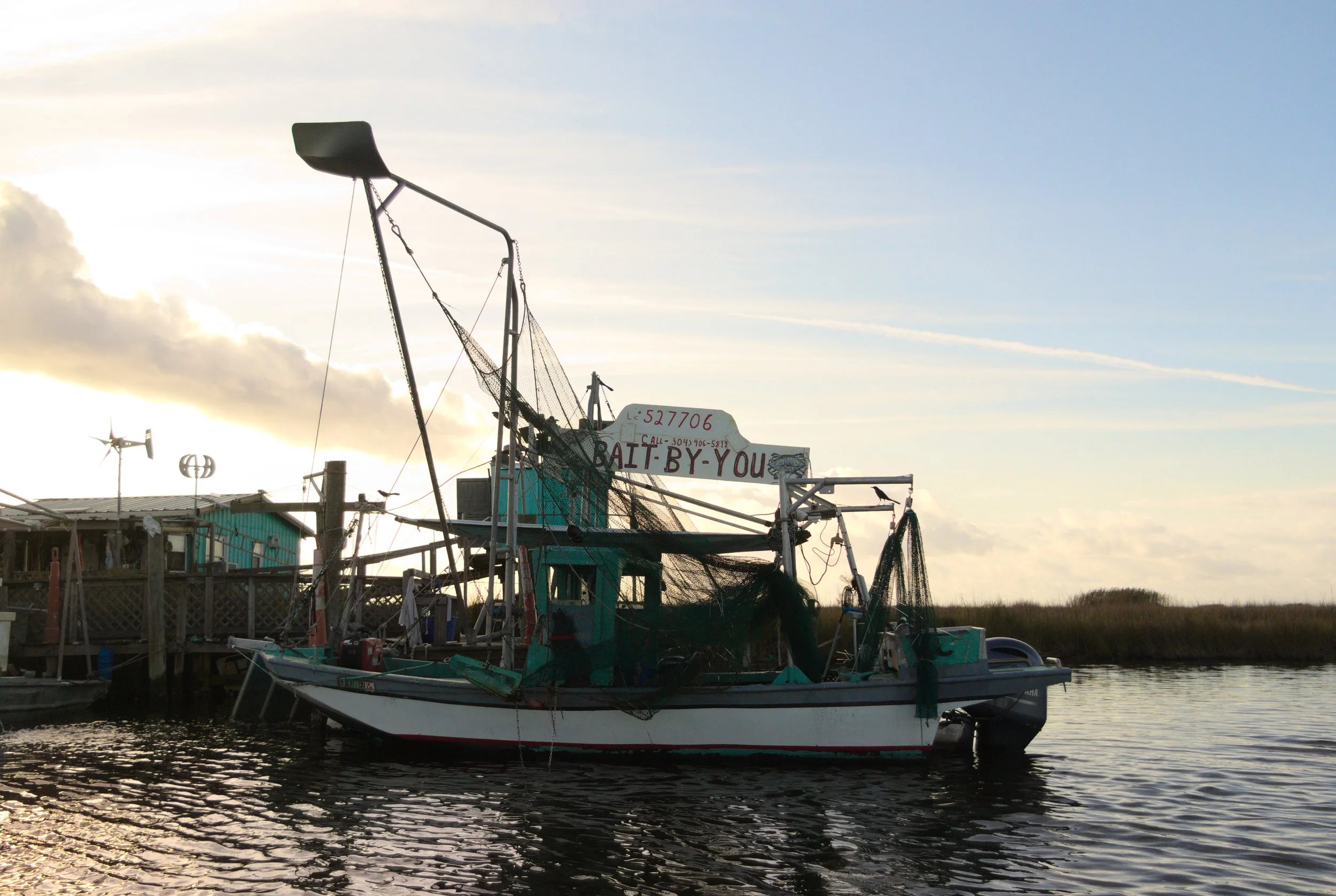 Bait By You Hook it or Cook it