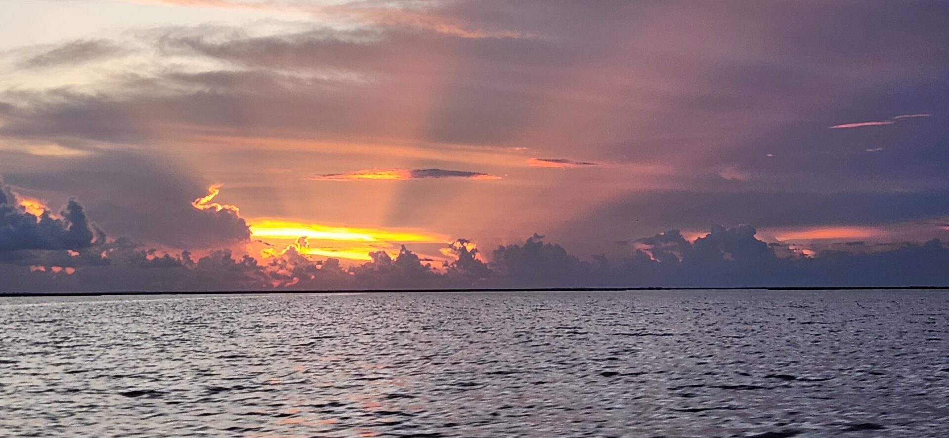 Warm golden hue over the Louisiana marsh at dusk